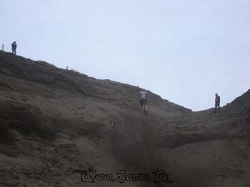 pic036